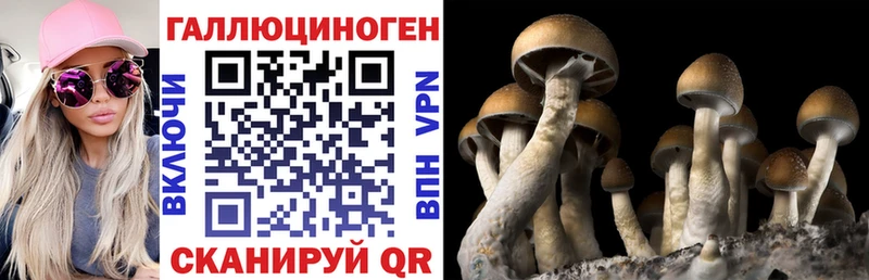 Псилоцибиновые грибы Psilocybe  Железногорск 